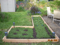 garden-box-planted
